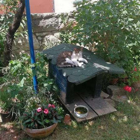 Rivamare - 招待所 罗维尼