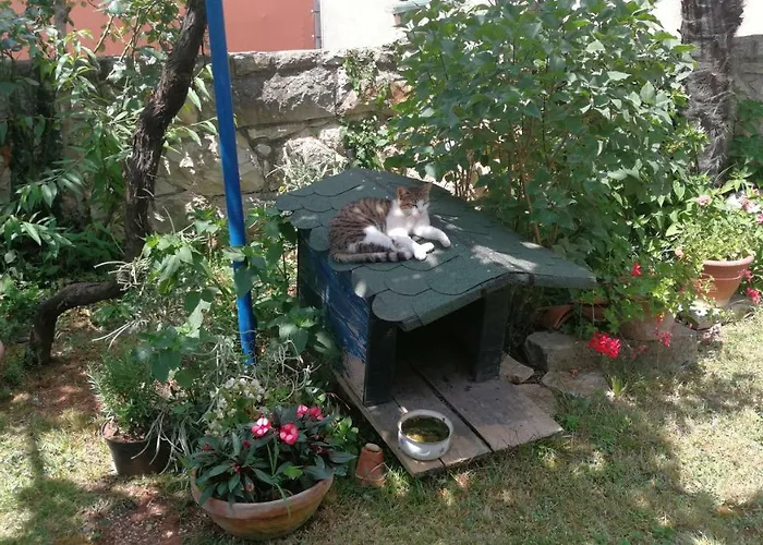 Rivamare - Maison d'hôtes Rovinj