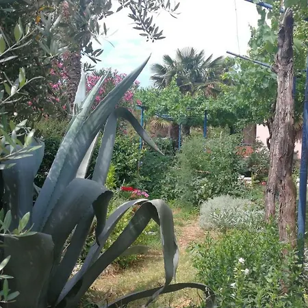 Guest house Rivamare - *