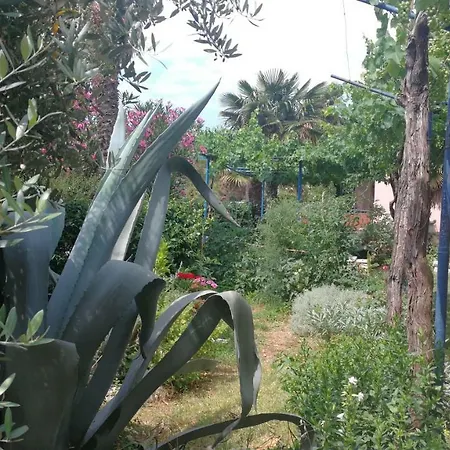 게스트하우스 Rivamare - 3*