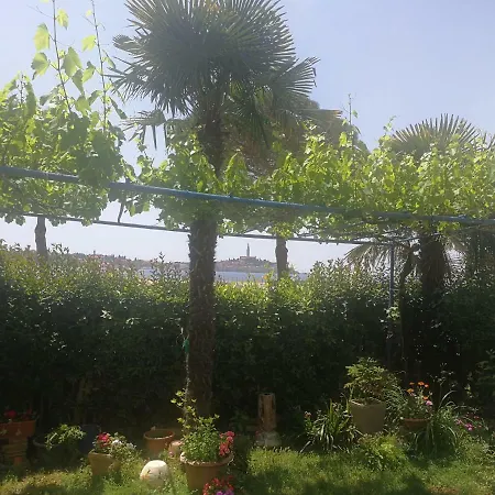 게스트하우스 Rivamare - 3*